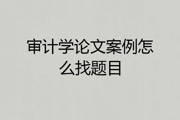 审计学论文案例怎么找题目