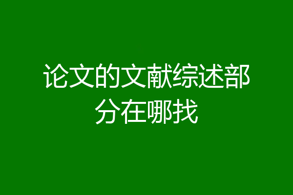 论文的文献综述部分在哪找