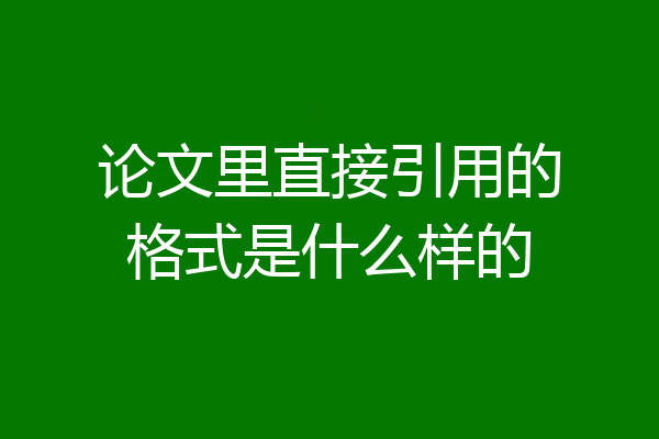 论文里直接引用的格式是什么样的