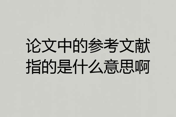 论文中的参考文献指的是什么意思啊