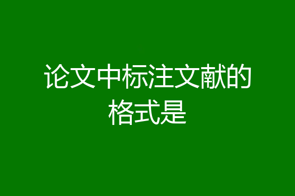 论文中标注文献的格式是