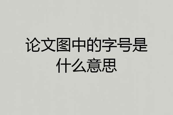 论文图中的字号是什么意思