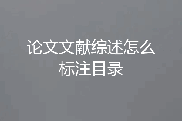 论文文献综述怎么标注目录