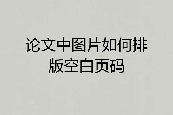 论文中图片如何排版空白页码
