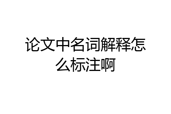 论文中名词解释怎么标注啊