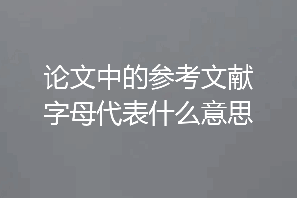 论文中的参考文献字母代表什么意思
