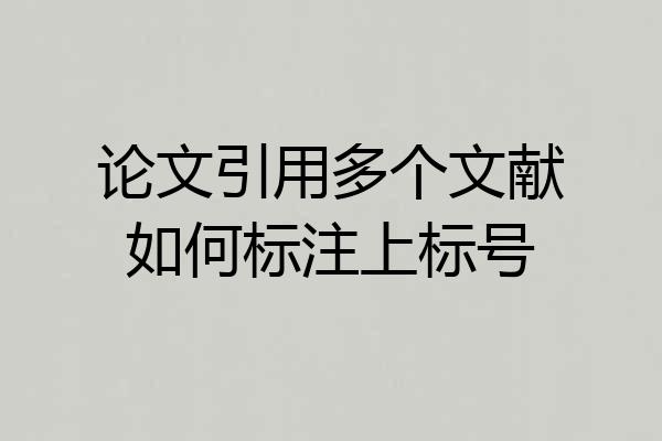 论文引用多个文献如何标注上标号
