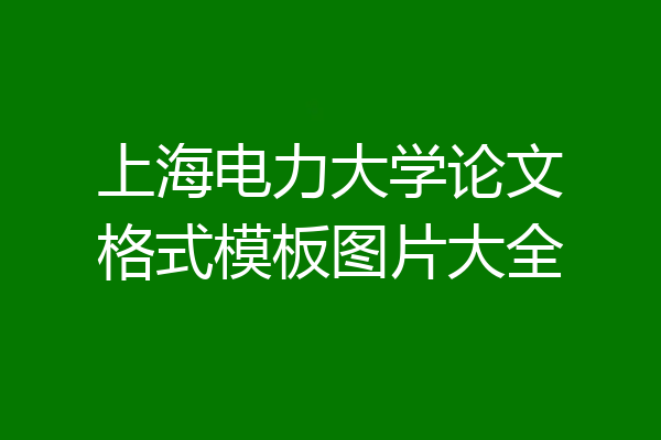 上海电力大学论文格式模板图片大全