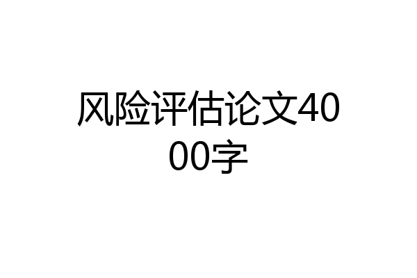 风险评估论文4000字