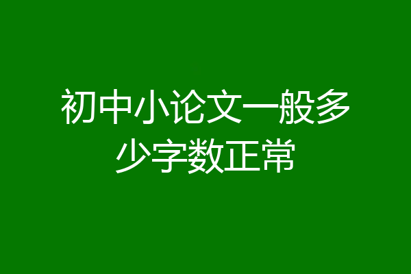 初中小论文一般多少字数正常