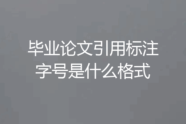 毕业论文引用标注字号是什么格式