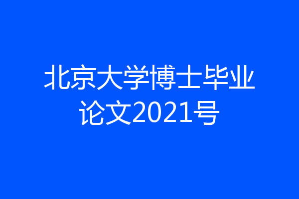 北京大学博士毕业论文2021号