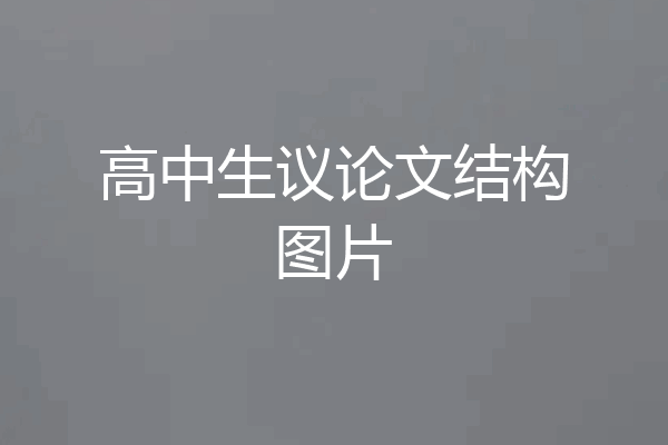 高中生议论文结构图片
