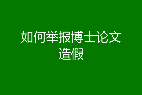 如何举报博士论文造假