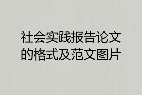 社会实践报告论文的格式及范文图片