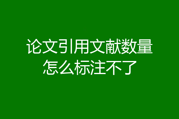 论文引用文献数量怎么标注不了