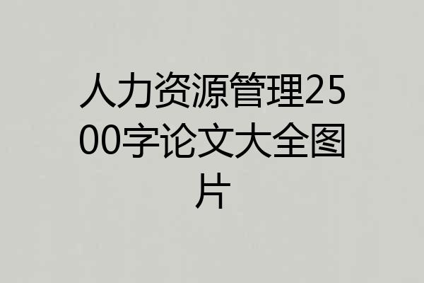 人力资源管理2500字论文大全图片