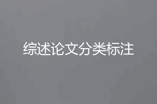 综述论文分类标注