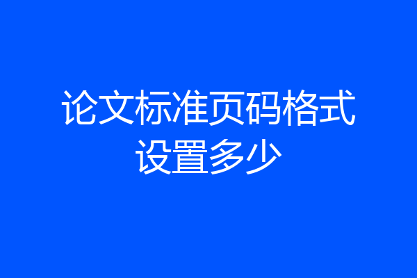 论文标准页码格式设置多少