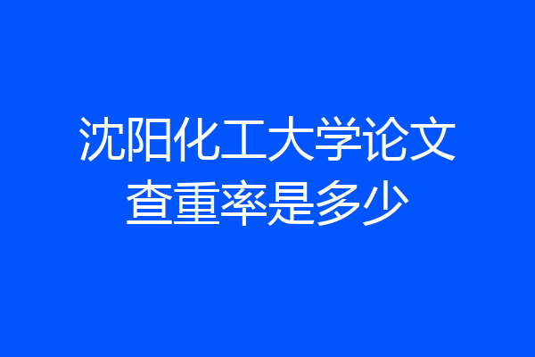 沈阳化工大学论文查重率是多少