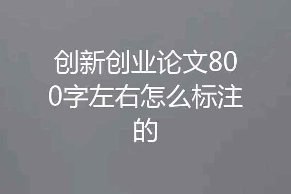 创新创业论文800字左右怎么标注的