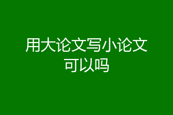 用大论文写小论文可以吗