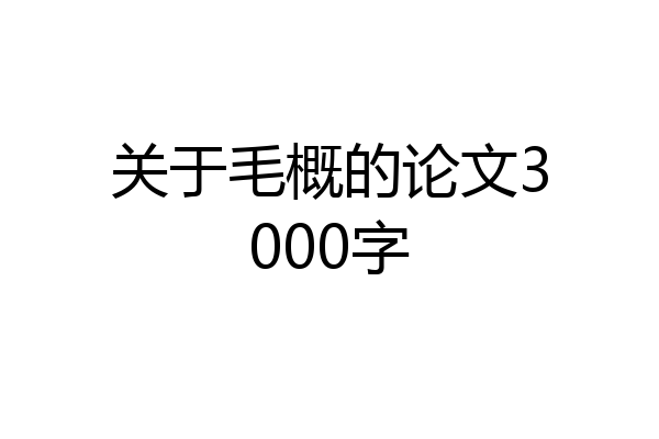 关于毛概的论文3000字