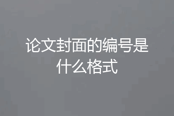 论文封面的编号是什么格式