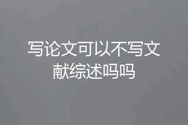 写论文可以不写文献综述吗吗