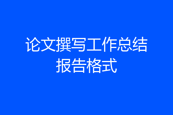 论文撰写工作总结报告格式