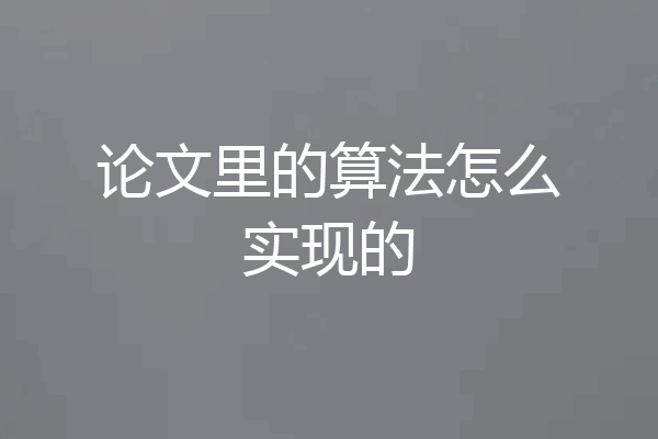 论文里的算法怎么实现的