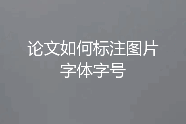 论文如何标注图片字体字号