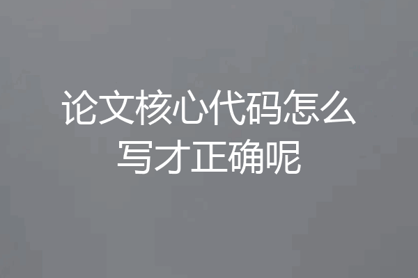 论文核心代码怎么写才正确呢