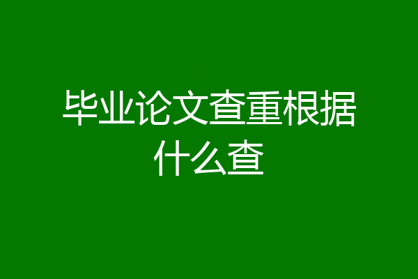 毕业论文查重根据什么查