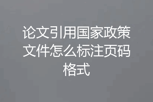 论文引用国家政策文件怎么标注页码格式