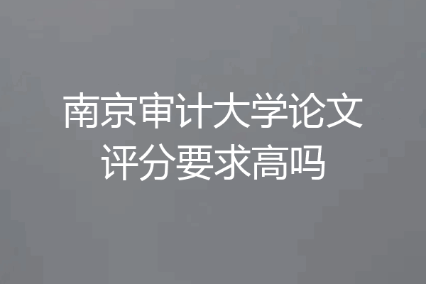 南京审计大学论文评分要求高吗