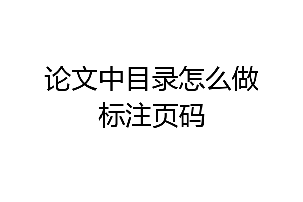 论文中目录怎么做标注页码