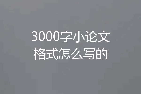 3000字小论文格式怎么写的