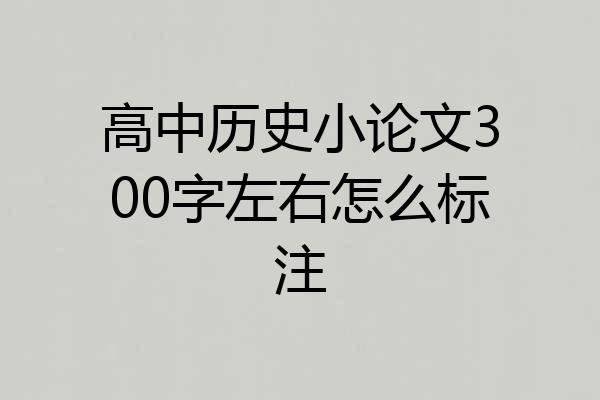 高中历史小论文300字左右怎么标注