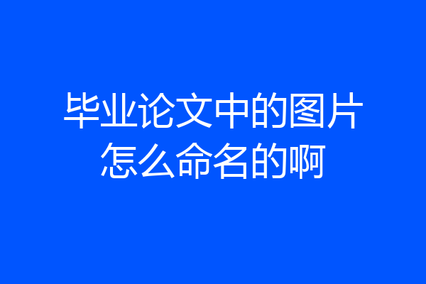 毕业论文中的图片怎么命名的啊