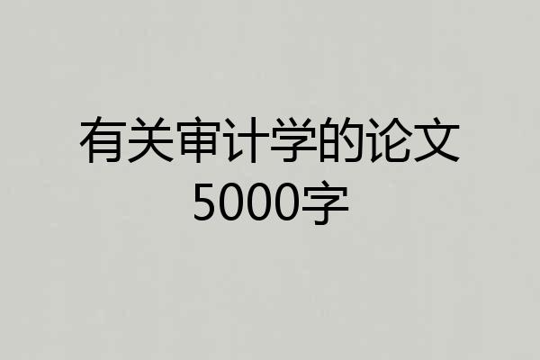 有关审计学的论文5000字