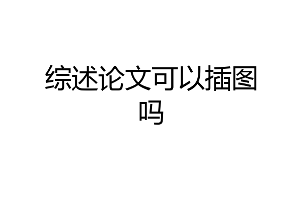 综述论文可以插图吗