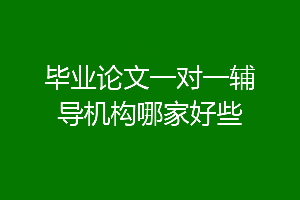 毕业论文一对一辅导机构哪家好些