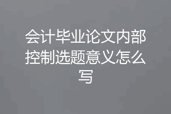 会计毕业论文内部控制选题意义怎么写