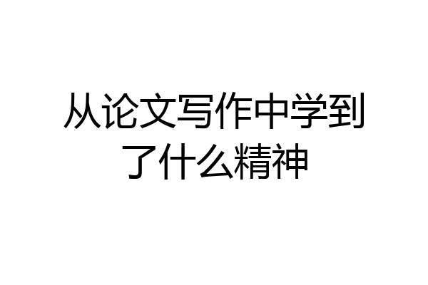 从论文写作中学到了什么精神