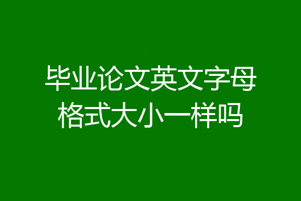毕业论文英文字母格式大小一样吗