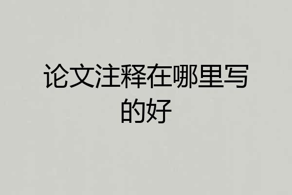 论文注释在哪里写的好