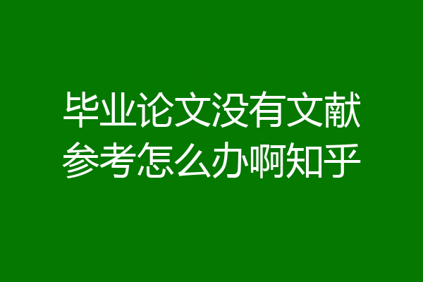 毕业论文没有文献参考怎么办啊知乎
