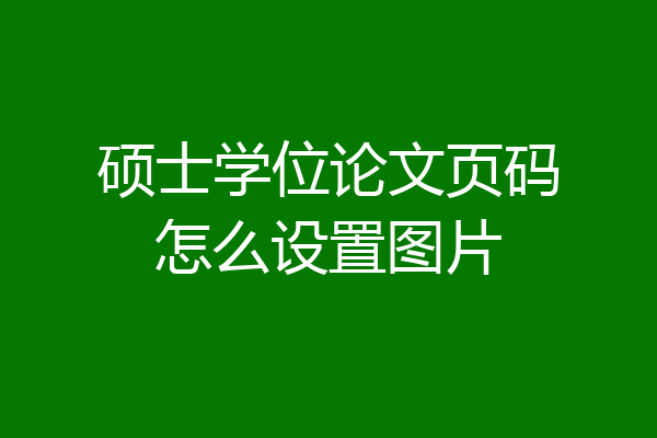 硕士学位论文页码怎么设置图片