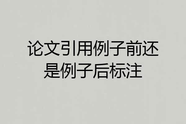 论文引用例子前还是例子后标注